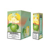 Maskking GTS 10 Pack